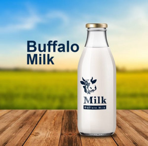 Buffalo Milk (1L)