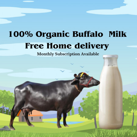 Buffalo Milk